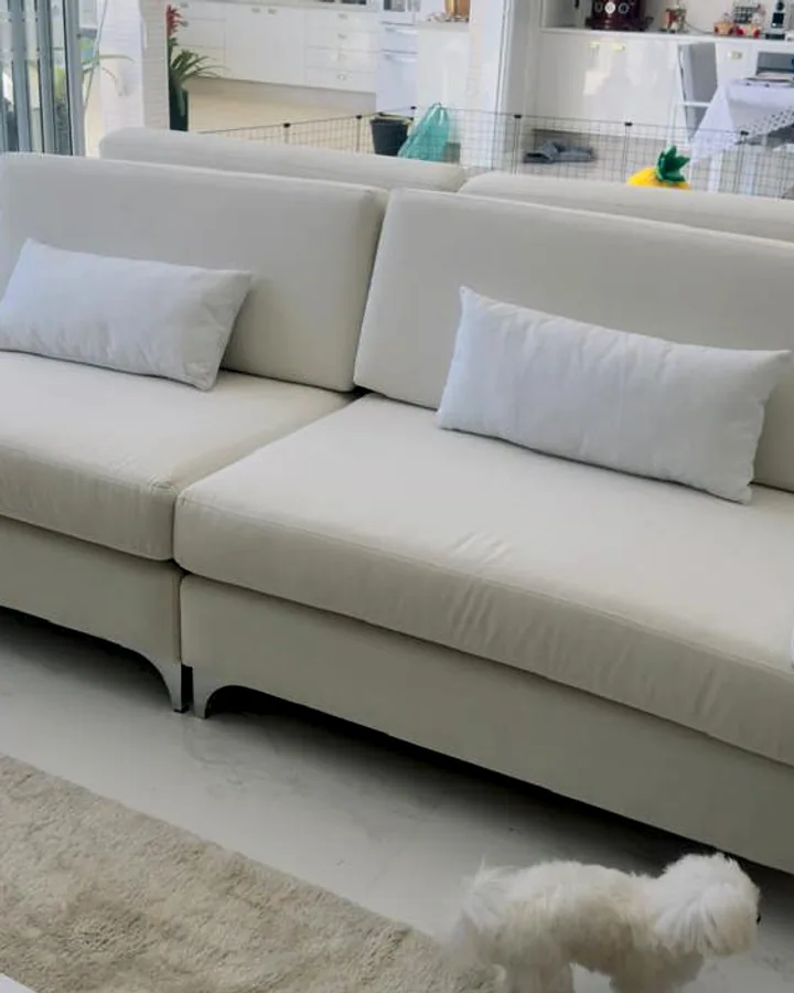 Sofá branco de dois módulos com almofadas retangulares em uma sala de estar iluminada, com um cachorro branco à frente.